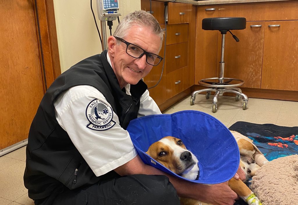 Eagle County Paramedic helps save 2 dogs after fatal Vail vehicular accident - Vimarsana News